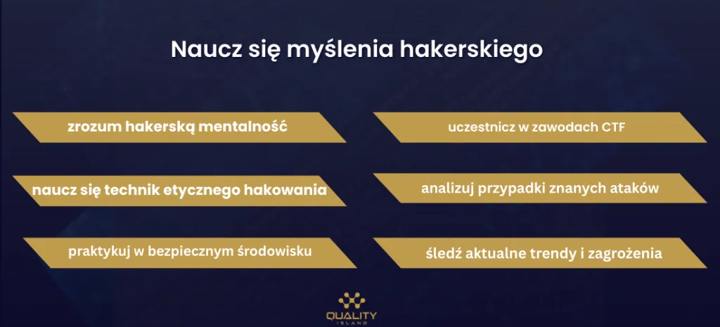 Grafika: naucz się myślenia hakerskiego, ćwicz w bezpiecznym środowisku